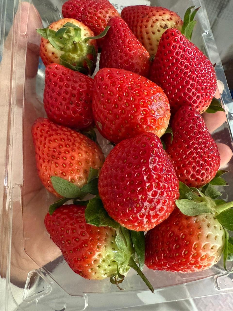 African Strawberry