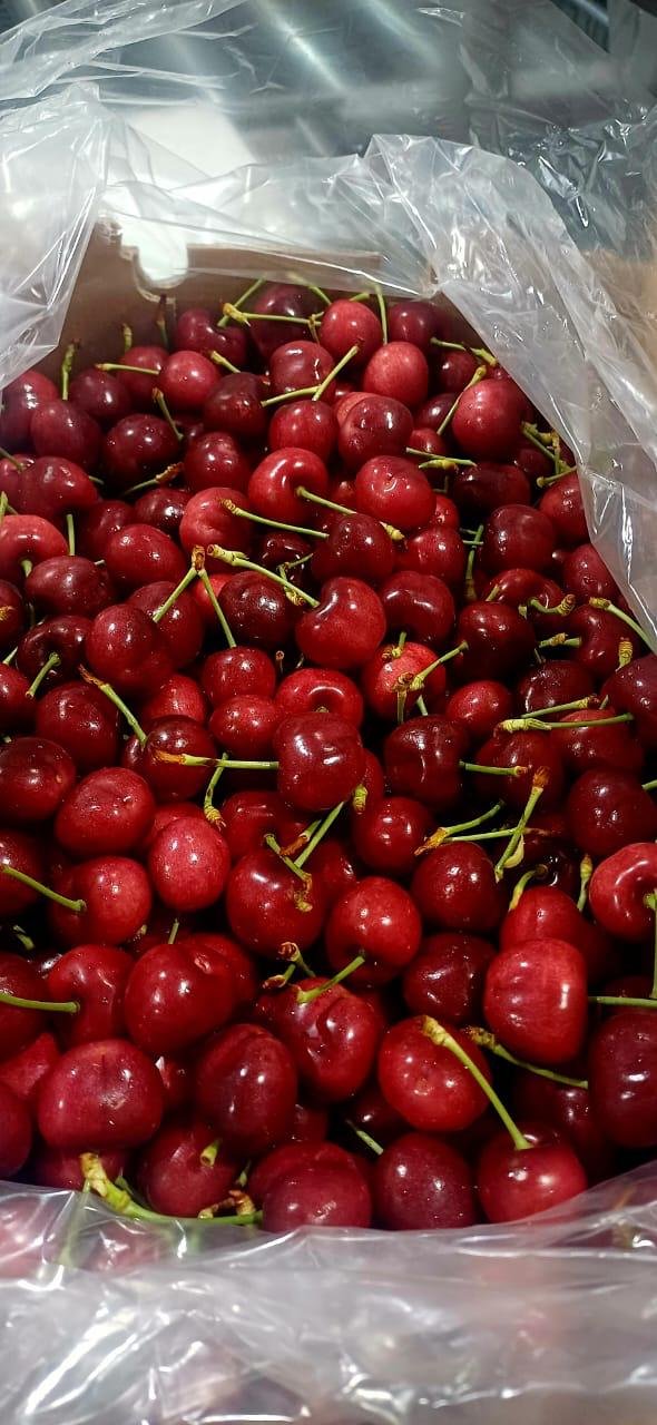 African Cherry