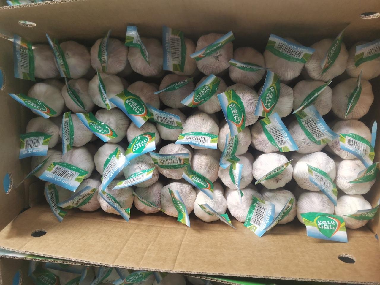 Chaina Garlic