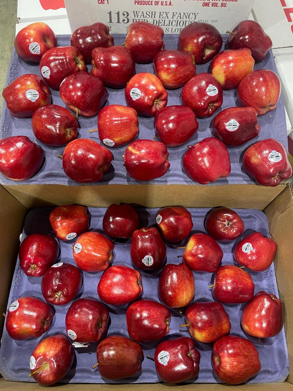 American Apple