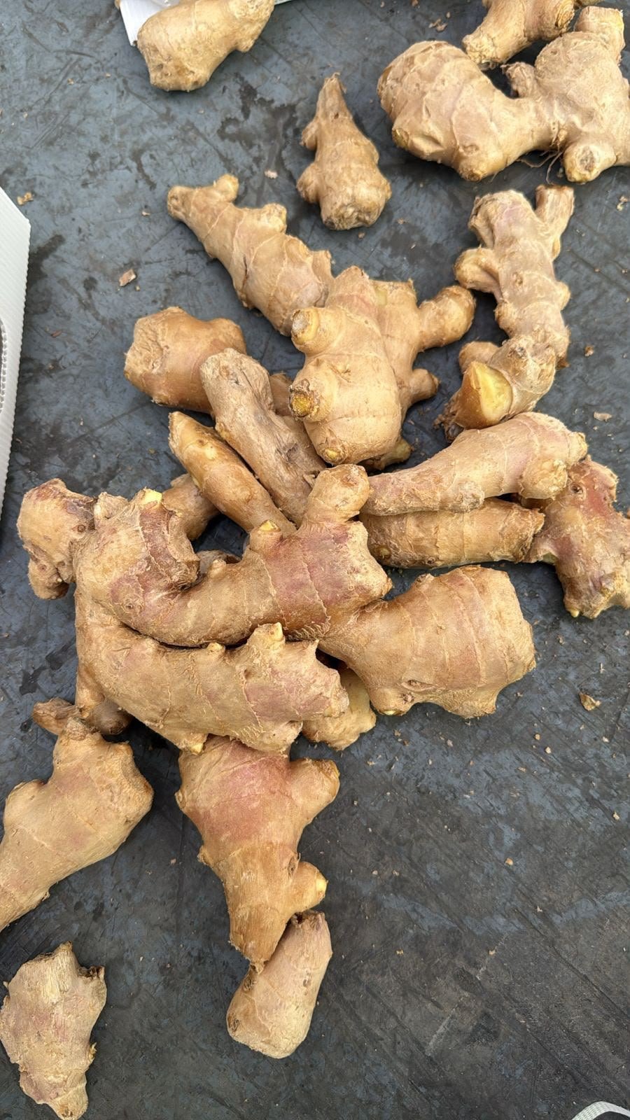 China Ginger